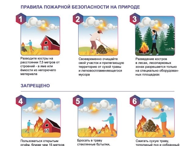 Правила пожарной безопасности на природе